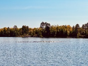 Voyageurs National Park