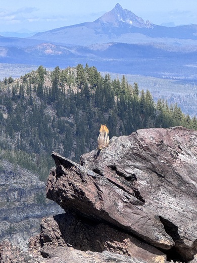 Deschutes National Forest