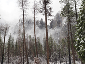 Yosemite National Park