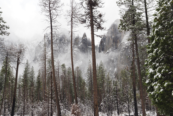 Yosemite National Park