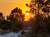 Gulf Islands National Seashore