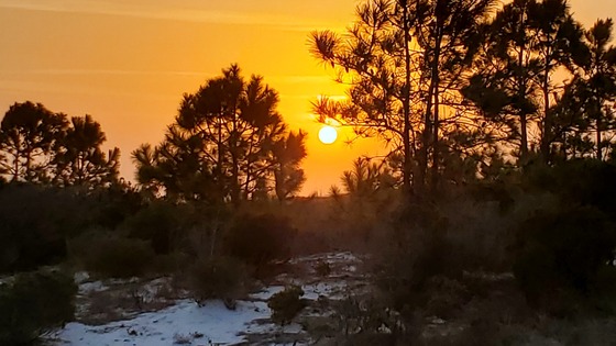Gulf Islands National Seashore