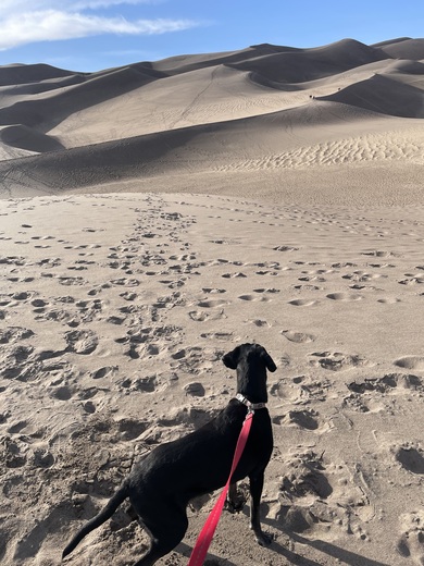 Great Sand Dunes National Park & Preserve