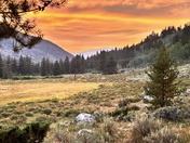 White River National Forest