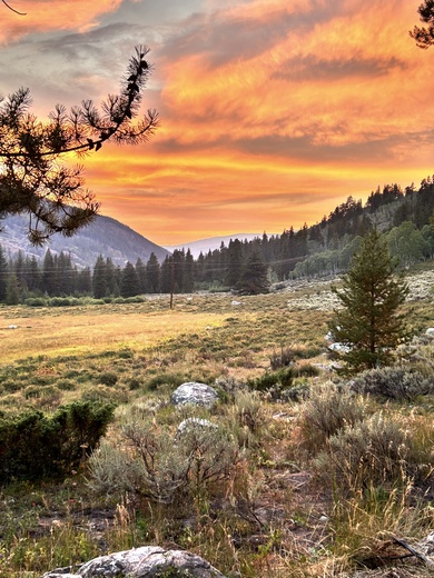 White River National Forest