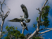 Everglades National Park