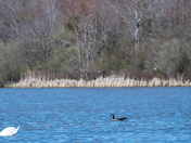 Muscatatuck National Wildlife Refuge