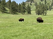 Wind Cave National Park