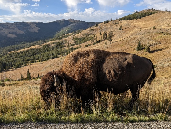 Yellowstone National Park