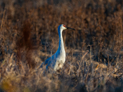 Indiana Dunes National Park