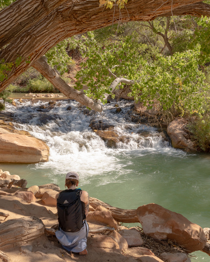 Zion National Park
