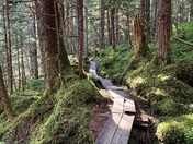 Tongass National Forest