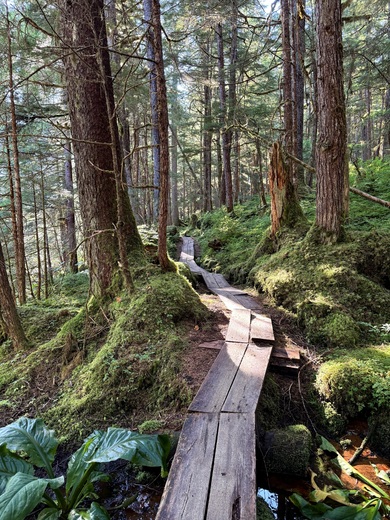 Tongass National Forest