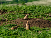 Badlands National Park