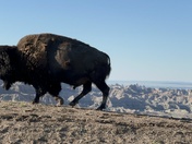 Badlands National park