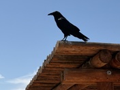 Canyonlands National Park 