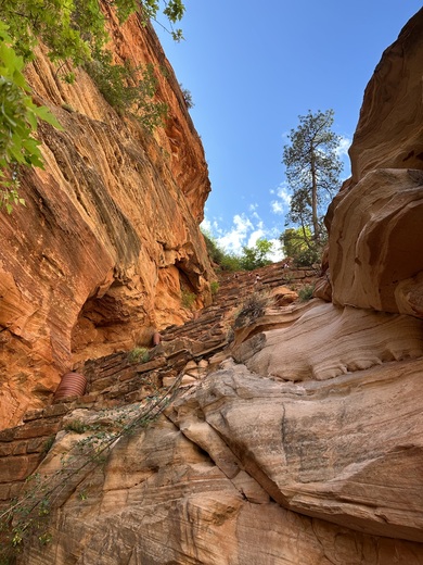 Zion National Park