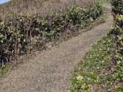 Yaquina Head Outstanding Natural Area