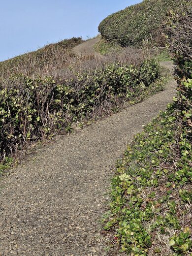 Yaquina Head Outstanding Natural Area