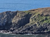Yaquina Head Outstanding Natural Area