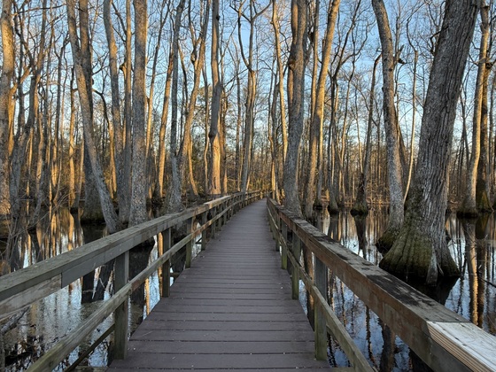Natchez Trace National Parkway