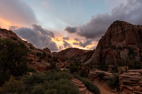 Zion National Park