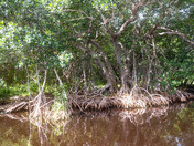 Everglades National Park