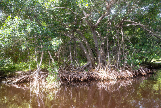 Everglades National Park