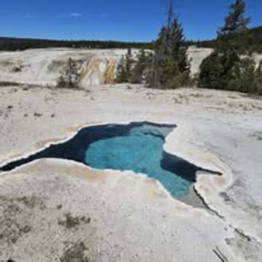 Yellowstone National Park