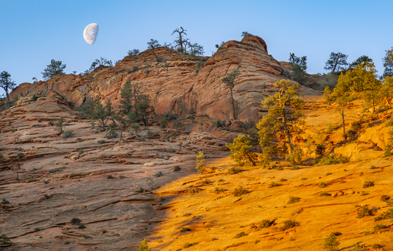 Zion National Park