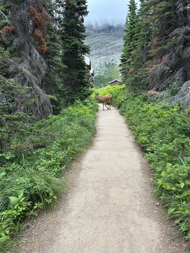 Glacier National Park