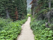 Glacier National Park