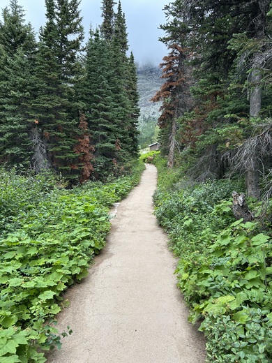 Glacier National Park