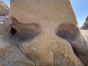 Joshua Tree National Park