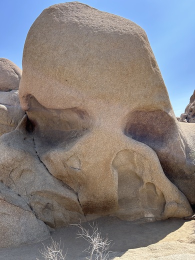 Joshua Tree National Park