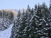 Mount Hood National Forest