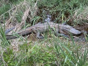 Gulf Islands National Seashore
