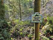 Salmon-Huckleberry Wilderness