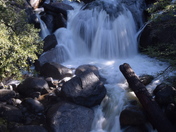 Yosemite National Park
