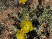 Hartman Rocks Recreation Area