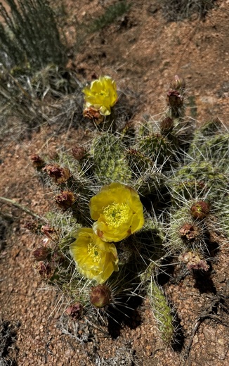 Hartman Rocks Recreation Area