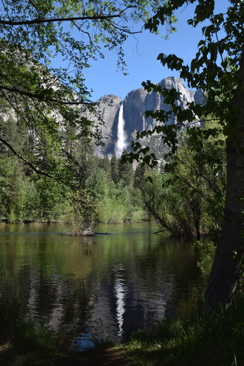 Yosemite National Park
