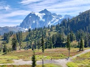 Mt Baker Snoqualmie National Forest