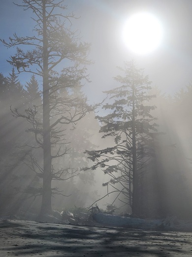 Olympic National Park