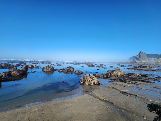 Olympic National Park