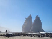 Olympic National Park