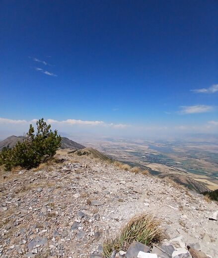 Uinta-Wasatch-Cache National Forest