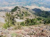 Uinta-Wasatch-Cache National Forest