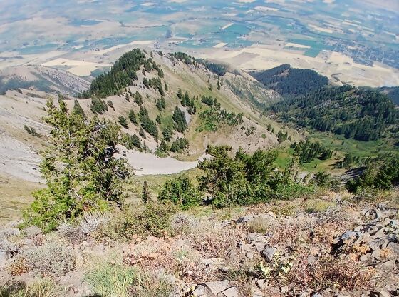 Uinta-Wasatch-Cache National Forest