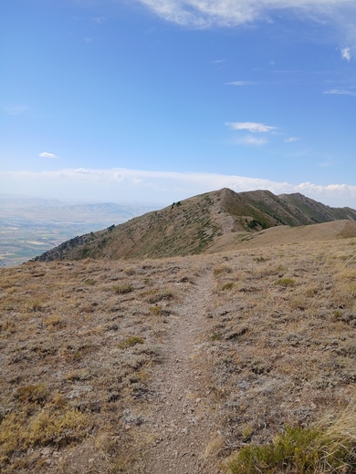 Uinta-Wasatch-Cache National Forest
